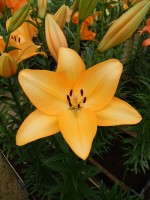 [4061 Vermont No02.JPG]